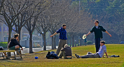 2일 화창한 봄날씨속에 시청뒤 잔디 광장에서 외국인들이 따스한 햇살을 받으며 즐거운 오후 시간을 보내고 있다. 
