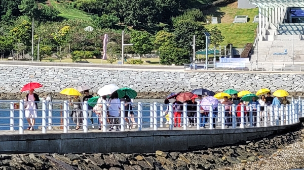 장도를 찾는 시민들과 관광객들이 입구에 비치된 우산이 들고 햇볕과 더위를 피하고 있다.