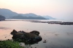 우리와 비교한 일본의 바다양식 실태는?사료난에 허덕이는 일본 … 공급은 딸려