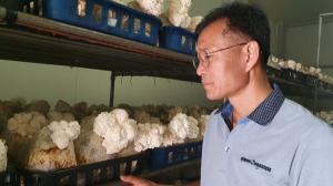 “한국 첫 노루궁뎅이 버섯재배 타이틀은 시작에 불과했다”